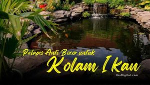 tips memilih pelapis anti bocor untuk kolam ikan