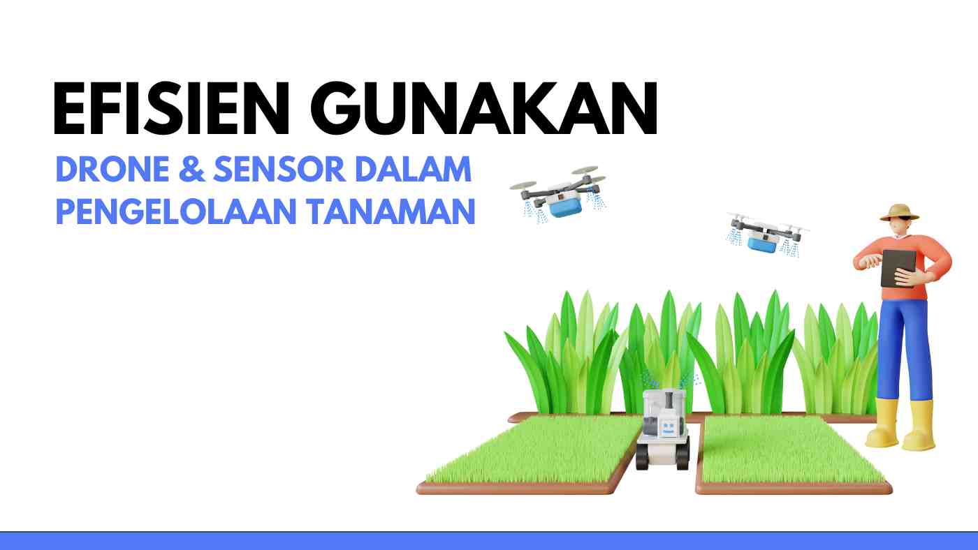 efisien gunakan drone dalam pengelolaan tanaman