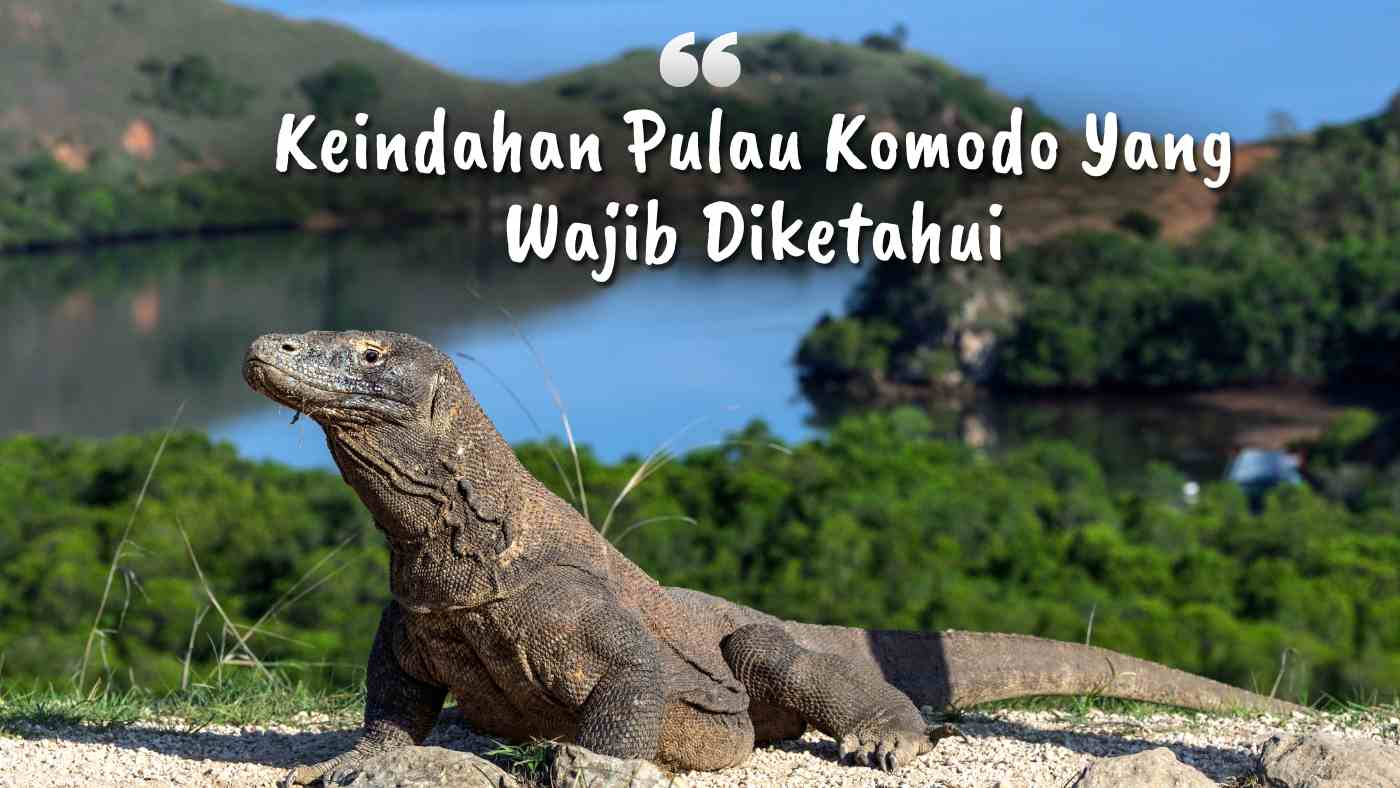 keindahan pulau komodo yang wajib diketahui