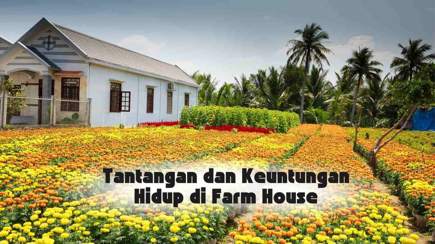Tantangan dan Keuntungan Hidup di Farm House
