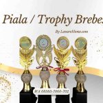jual piala trophy satuan di brebes